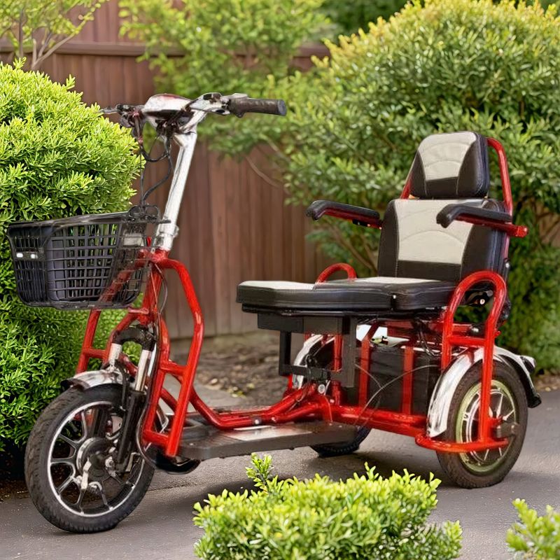 Электротрицикл Elbike Адьютант A4